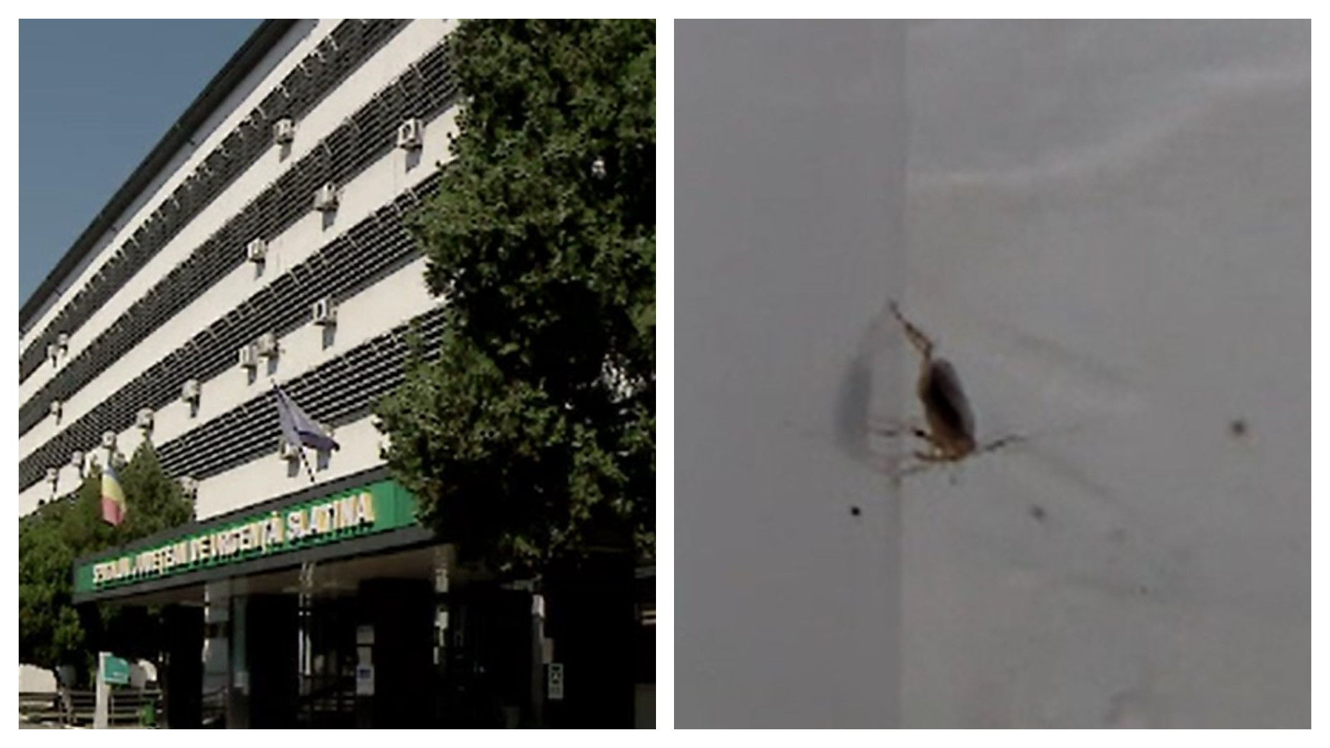 "Mi-au intrat în gură". Gândaci și scandal la spitalul din Slatina. Va fi sesizat Corpul de Control al Ministerului Sănătății