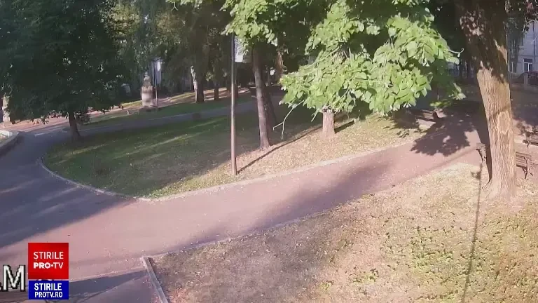 Panică în Câmpulung Muscel. Un urs a fost văzut chiar în centrul orașului. „Dădea cu labele în ușile magazinelor”