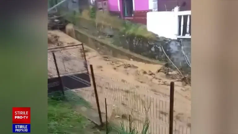 Strat de gheață ca în mijloc de iarnă. Grindina a făcut prăpăd în România. „A făcut prăpăd. Nu s-a ales nimic”