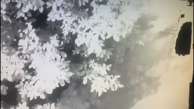 „Nimeni nu o să îi iubească”. Cum a justificat gestul șocant mama care și-a aruncat copiii de la etaj, în Botoșani