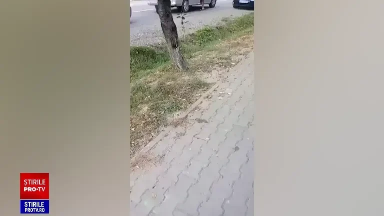 "Doame, maica Domnului". Scandal monstru într-o localitate din județul Vaslui. Au fost trase focuri de avertisment | VIDEO