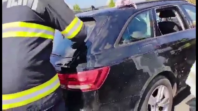 Un cățel a murit în chinuri la Cluj, după ce a fost lăsat încuiat în portbagaj, în caniculă. Stăpâna s-a dus la mall