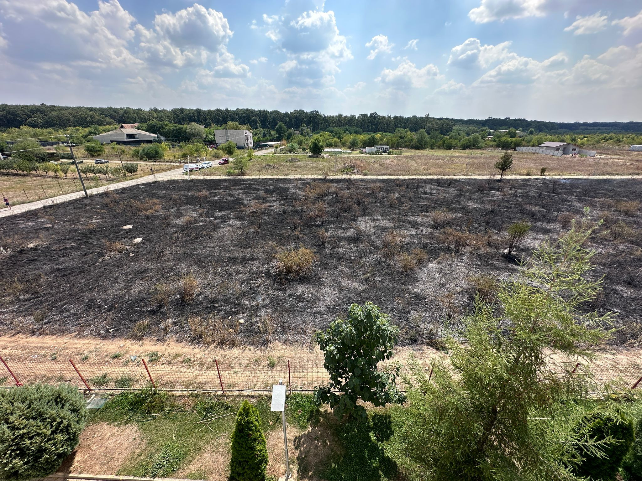 Incendiu de proporții lângă Pădurea Băneasa. Oamenii din zonă au sărit să ajute pompierii