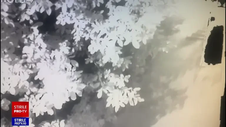 Filmul dramatic al tragediei din Botoșani, unde o mamă și-a aruncat copiii de la balcon. Ce spune soțul tinerei