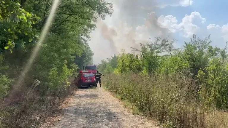 Incendiu de proporții lângă Pădurea Băneasa. Peste 30 de hectare sunt afectate