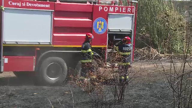 Incendiu de proporții lângă penitenciarul Jilava. O persoană ar fi dat foc la gunoaie