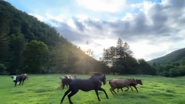 Experiențe inedite pe Valea Avrigului. Antreprenorii au înființat centre de echitație și parcuri de distracție