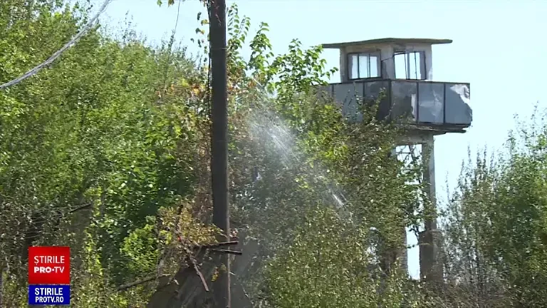 Incendiu de proporții lângă penitenciarul Jilava. O persoană ar fi dat foc la gunoaie