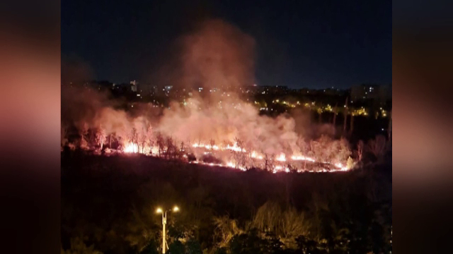 Incendiu de proporții în Parcul IOR. Viceprimarul Sectorului 3: „Sunt incendii provocate intenţionat”