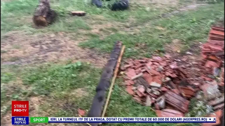 Dezastru în Satu Mare după „o furtună teribilă de 10 minute”. Zeci de copaci au căzut pe mașini