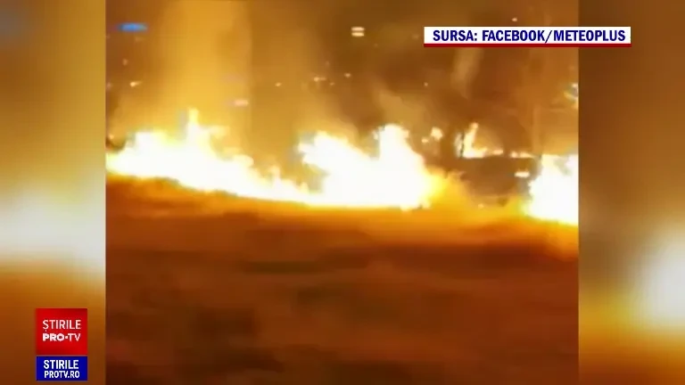 Cum arată parcul IOR după incendiul puternic izbucnit marți. Activiștii de mediu vorbesc despre un foc pus intenționat