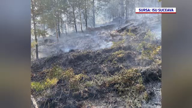 Incendiile de vegetație fac prăpăd în România. Ce amenzi riscă cei care le provoacă
