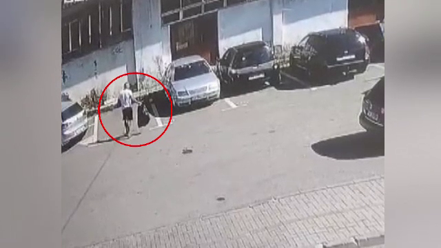 Abandonul animalelor se plătește scump. Ce amendă a primit un bărbat filmat când a aruncat în stradă doi pui de pisică