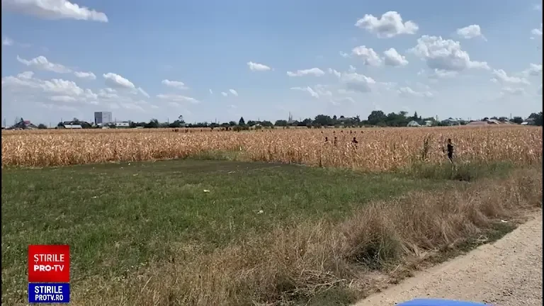 Ce caută jandarmii pe câmpul din apropierea staţiei GPL de la Crevedia unde au avut loc exploziile devastatoare. VIDEO