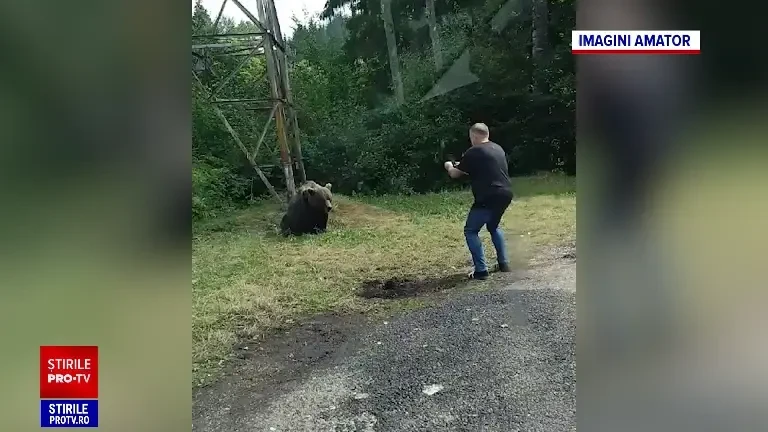 Momentul în care un turist polonez se pune în pericol pentru a face o poză unei ursoaice cu doi pui, pe Transfăgărășan.
