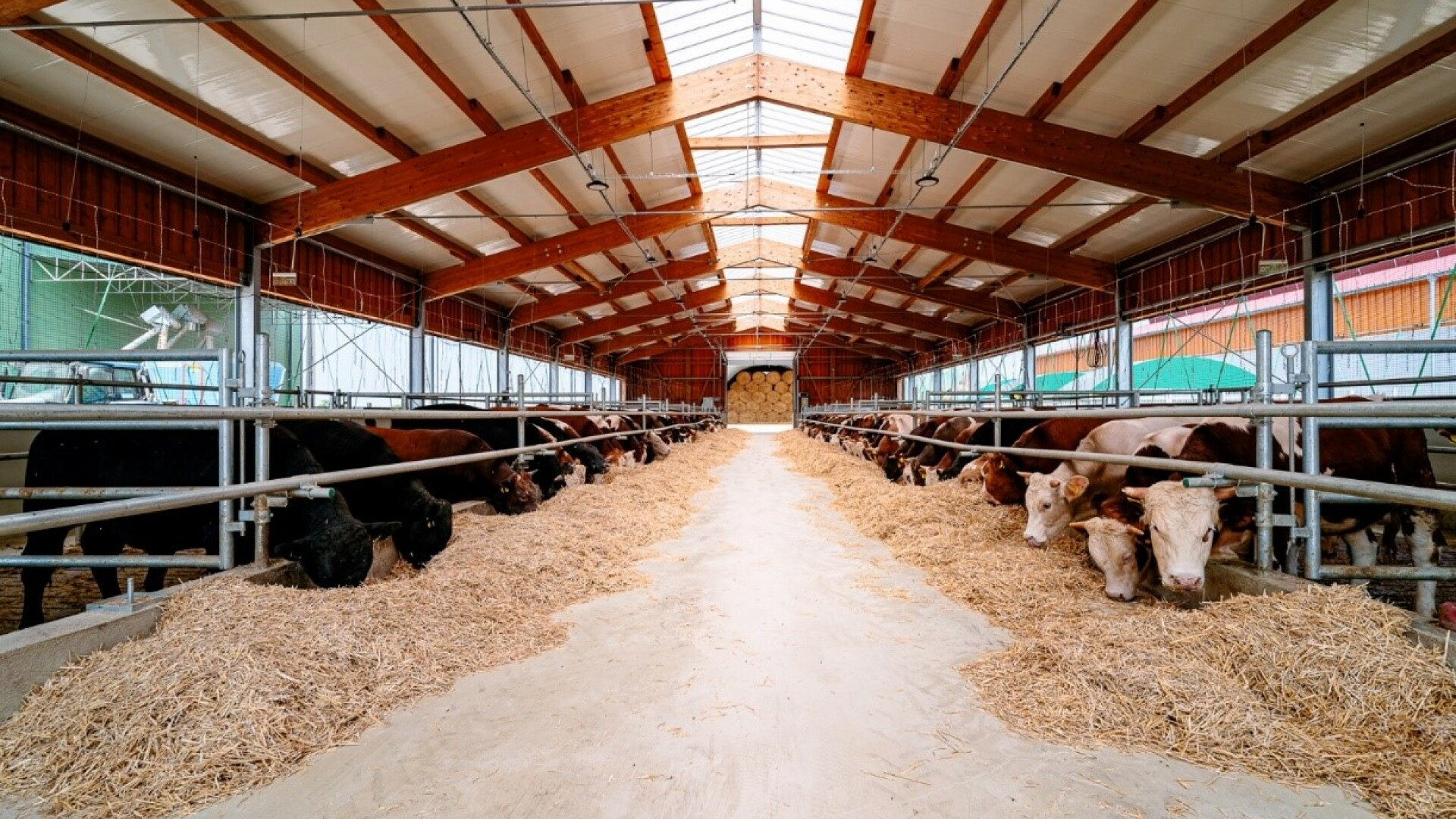 (P) Grupul Las Vegas vine în ajutorul familiilor rămase pe drumuri, în urma inundațiilor