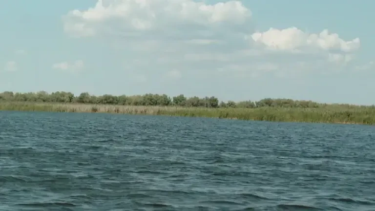 Gestul făcut de Carmen Iohannis în fața unor eleve din Delta Dunării: ”Mi-am lăsat inima aici”