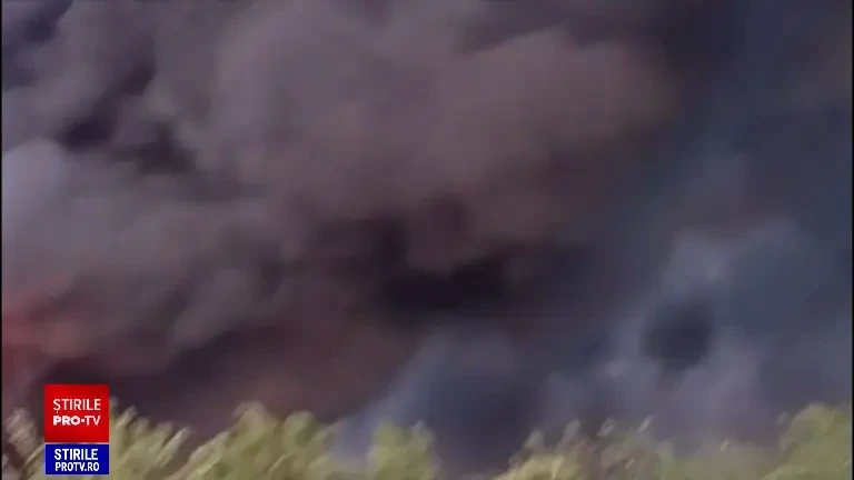 Filmul evenimentelor. Cum a luat foc în mers trenul de pe ruta Arad-Oradea. Oamenii au fugit speciați pe câmp