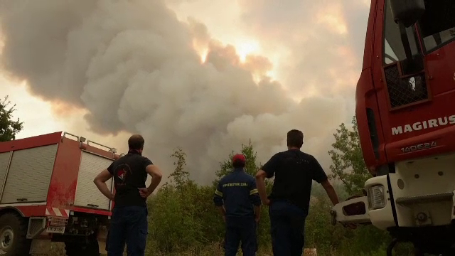 Grecii nu reușesc să aducă sub control incendiul de la granița cu Turcia. Vâlvătaia a distrus deja 81 de mii de hectare