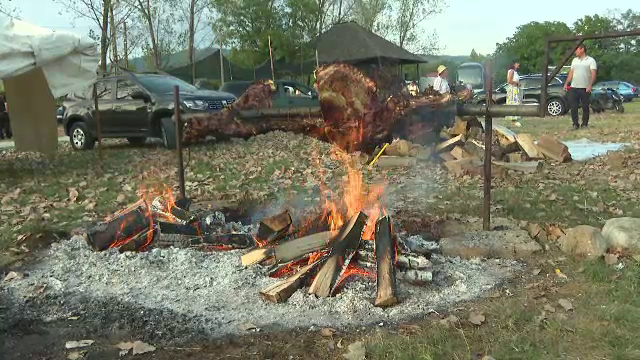 Primul festival european dedicat produselor bio, în Gorj. ”Așteptăm să vină turiștii, Doamne ajută!”