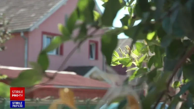 Femeia găsită moartă într-un apartament din Cluj Napoca a fost bătută de partenerul ei. Care ar fi cauza decesului