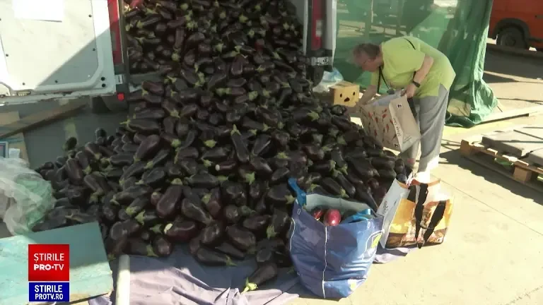 Piețele mari din afara orașelor au prețuri aproape la jumătate la legume. Cât cheltuim pentru un borcan de zacuscă ”de casă”