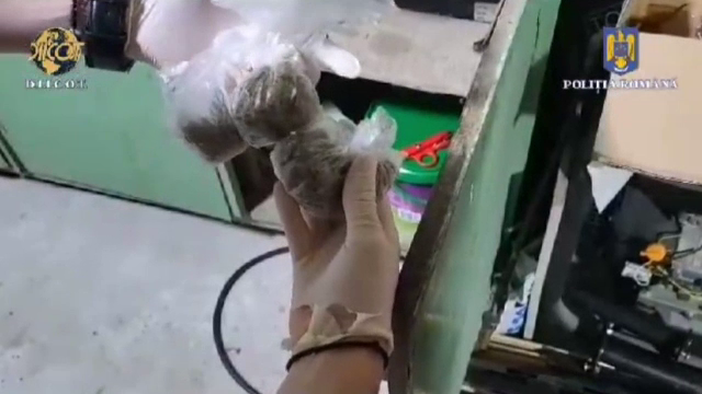 Ce spune un psiholog despre înăsprirea legislației antidrog propusă de autorități. „NU vor fi descurajați”