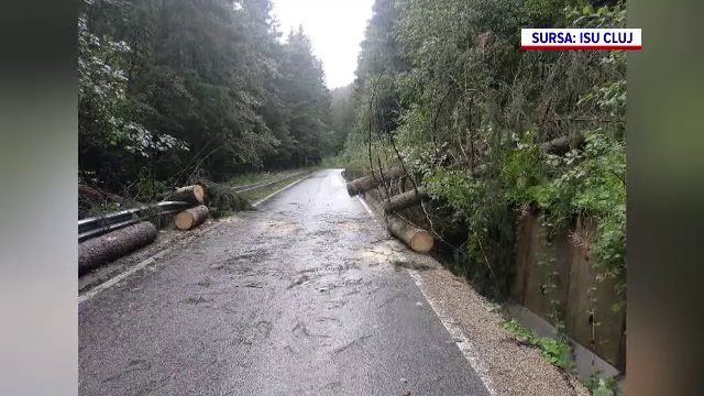 Furtuni violente în țară. Vântul a smuls o bucată din acoperișul unui bloc și a doborât mai mulți copaci și stâlpi