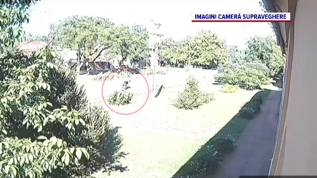 Un biciclist care trăgea după el un cărucior a fost lovit de un motociclist, în Timiș. Momentul a fost filmat