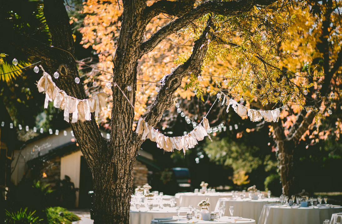 (P) 5 lucruri de avut în vedere înainte de organizarea unei petreceri în grădină