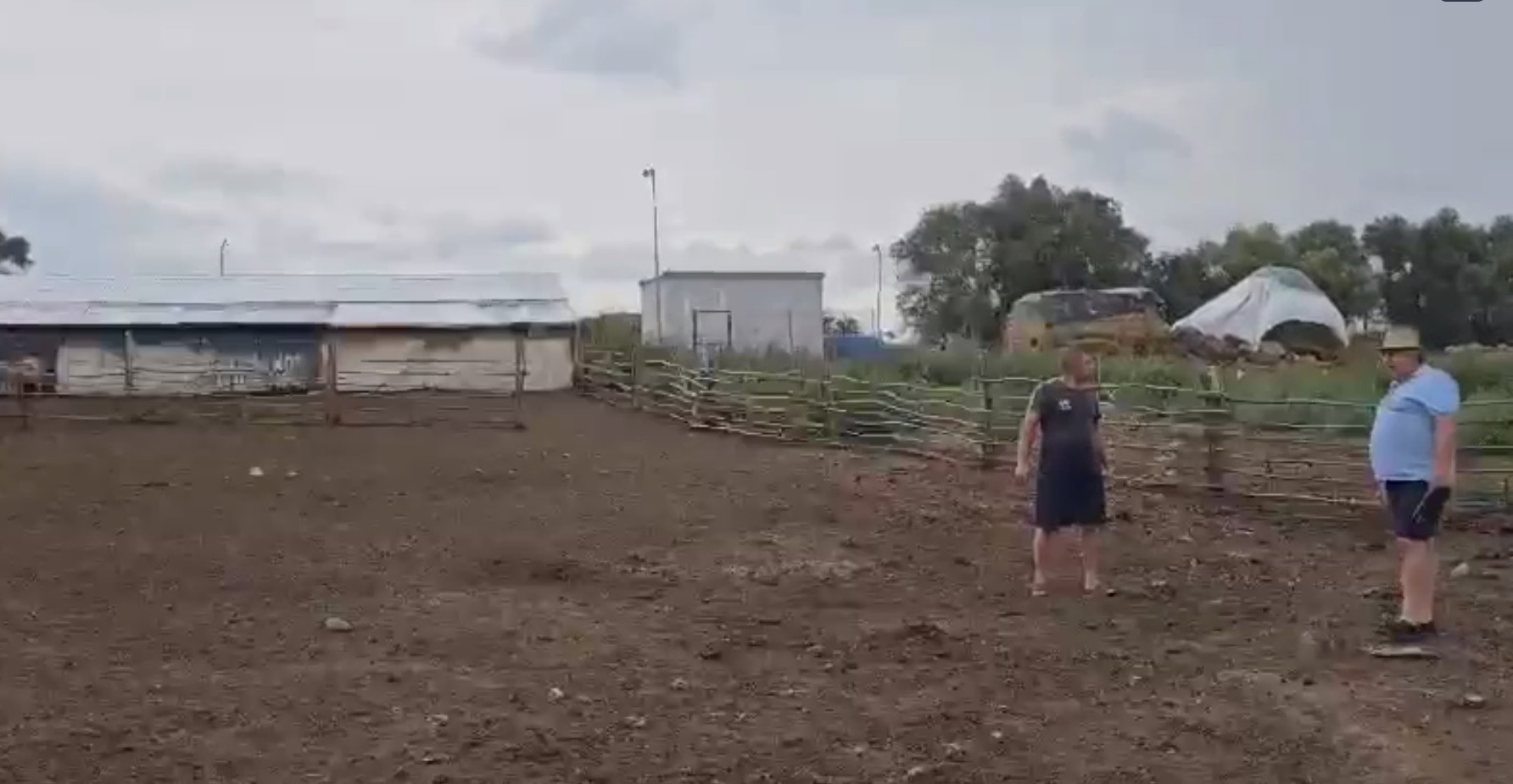 Creaturile care au atacat animalele de la o stână din Dolj. 20 de oi și capre au fost ucise