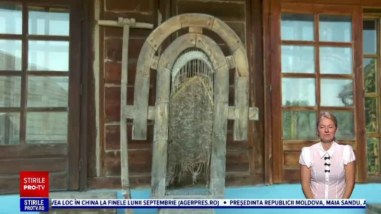 „Ferma de artă din România”, un spațiu pitoresc destinat artiștilor. Sute de turiști vin anual la expoziții