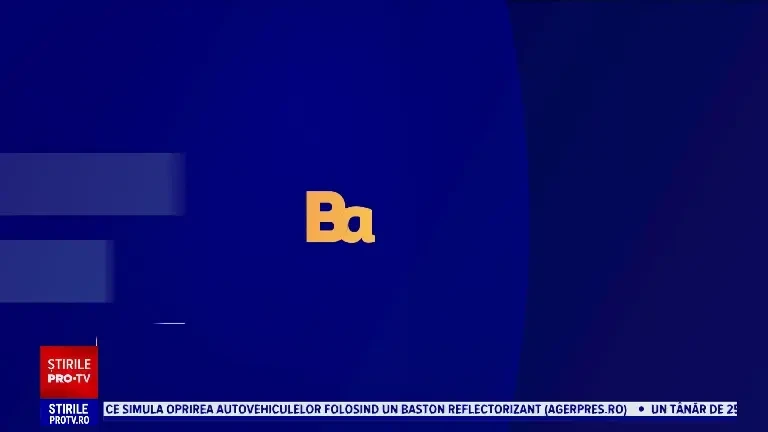 De ce este important ca proprietarii de câini să încheie o ”asigurare RCA” pentru patrupedele lor. Care sunt prețurile