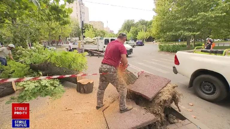 Cod galben de vânt puternic în România. Vremea rea a făcut ravagii în Capitală