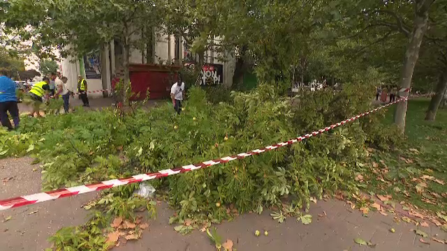 Vijeliile au făcut prăpăd în sud-estul țării. Un bărbat a fost rănit de un copac smuls de vânt și a rămas prins sub el