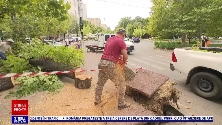 Vijeliile au făcut prăpăd în sud-estul țării. Un bărbat a fost rănit de un copac smuls de vânt și a rămas prins sub el