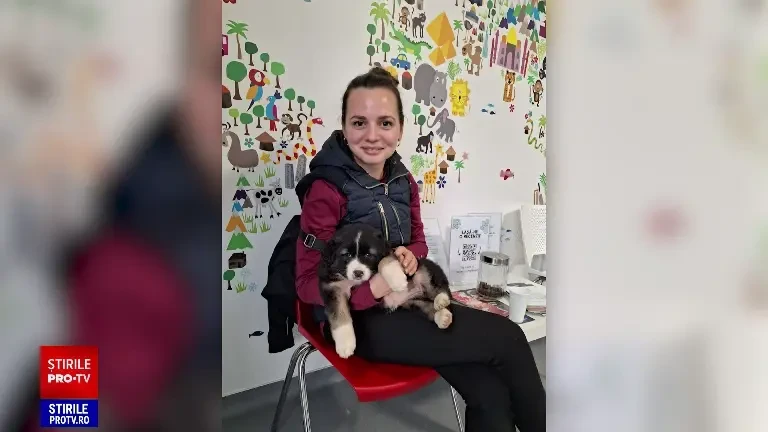 Ce spune familia doctoriței rănite în accidentul de scuter din Bali. „Nu m-am gândit niciodată că s-ar putea întâmpla ceva”