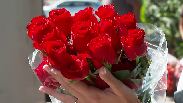 Alertă &icirc;n Europa. Trandafirii roșii importați din Olanda, contaminați de insecticide interzise, &bdquo;cancerigene pentru om&rdquo;