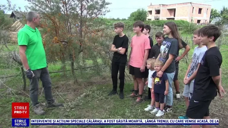 Românul care a reușit să atesteze cătina la teasc ca produs tradițional după 17 încercări