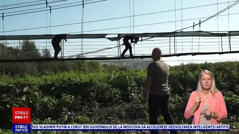 Cei mai buni luptători de la trupele speciale din țară s-au întrecut la un concurs, în Oarba de Mureș. Cine a câștigat