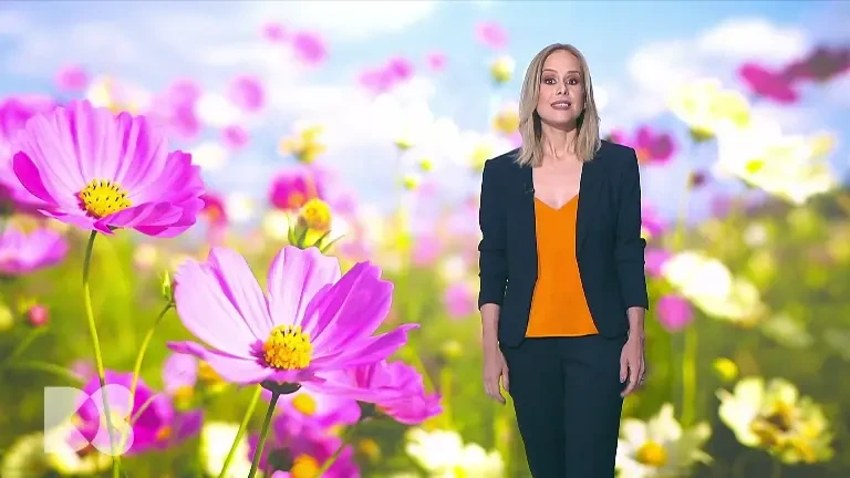 Depozitele de grăsime provoacă inflamație uriașă în organismul uman