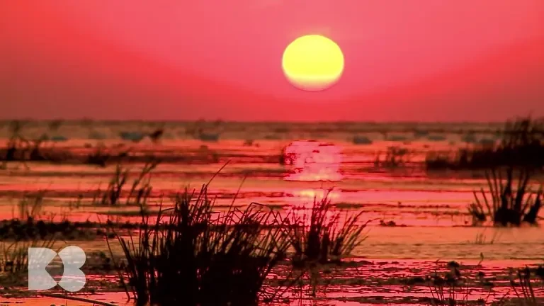 Glicemia controlată în mod conștient influențează starea de sănătate pentru următorii 10-15 ani