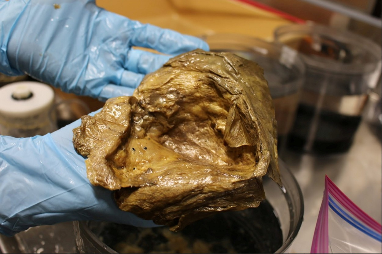 „Glob de aur” găsit pe fundul mării. Cercetătorii au descoperit un obiect misterios în adâncul oceanului | FOTO