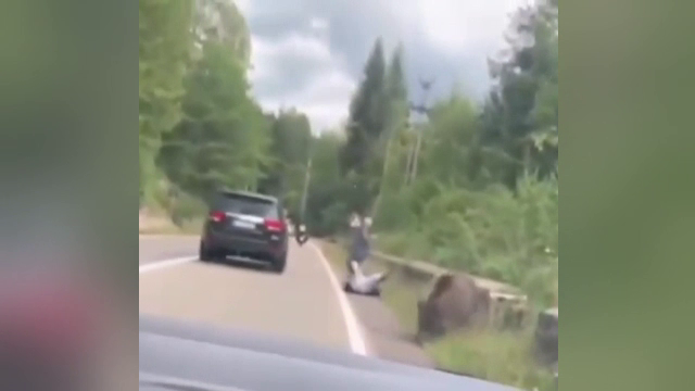 Inconștiență și nepăsare. Gestul făcut de mai mulți turiști pe Transfăgărășan