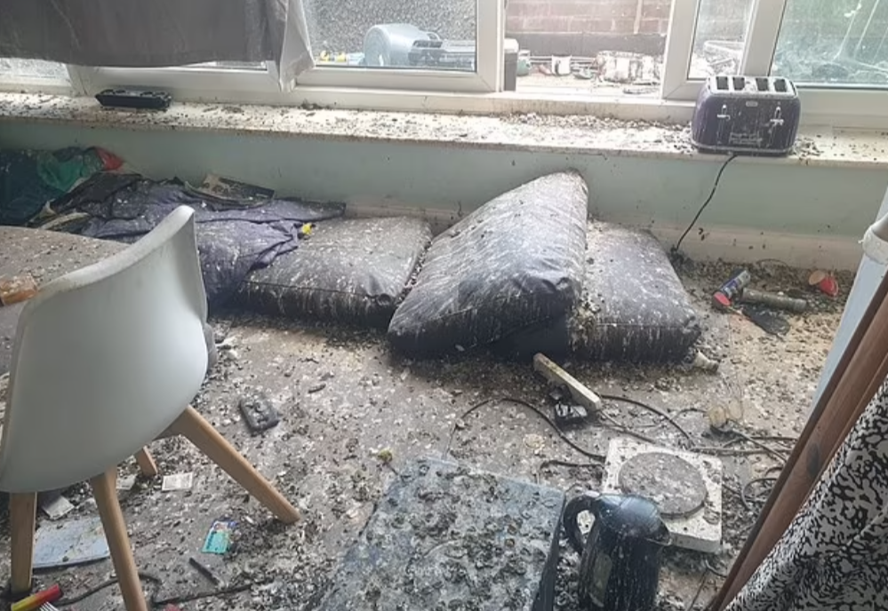 Porumbeii au distrus un apartament după ce chiriașii au lăsat ușa de la balcon întredeschisă. Cât costă curățenia totală