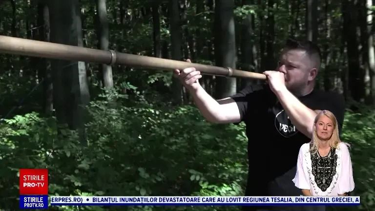 Festival de weekend, la marginea pădurii. „E distracție aici, distracție în natură”