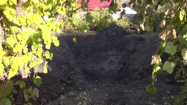 Ce a pățit individul care și-a ucis fosta soție și fetița de 5 ani, în urmă cu 17 ani. Scheletul copilei, găsit în grădină