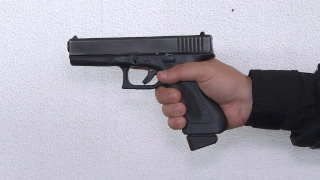 Descinderi în Bistrița-Năsăud, la o rețea care aducea arme pentru braconieri și interlopi