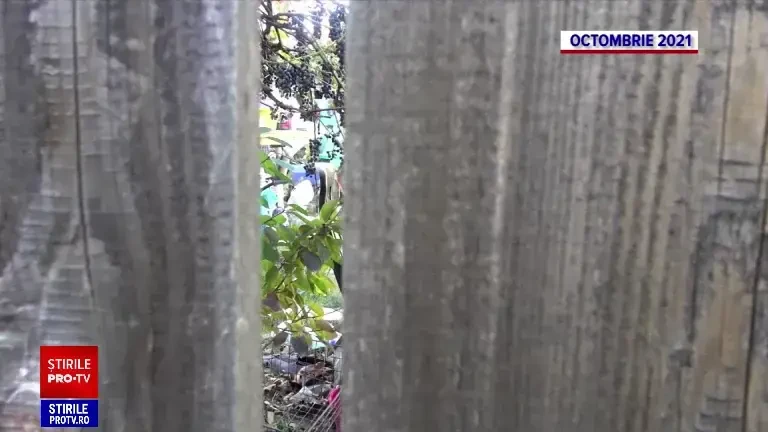 Filmul crimei din Neamț, care a rămas nerezolvată timp de 15 ani. Suspectul a primit acum închisoare pe viață