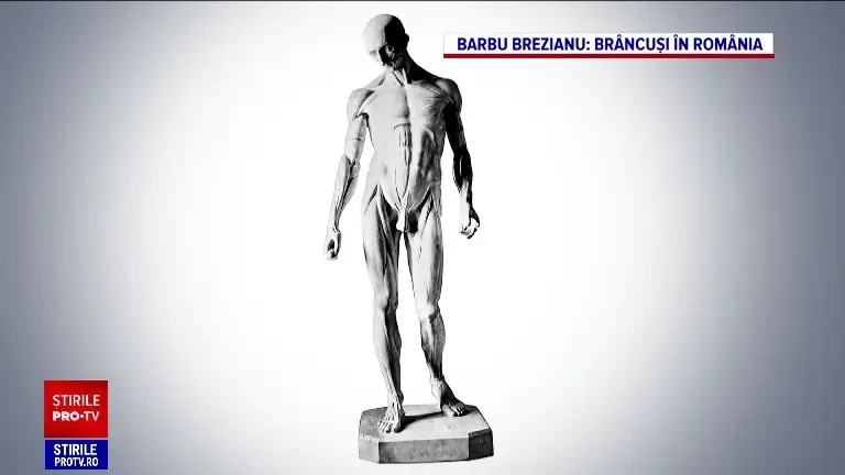 Operele lui Constantin Brâncuși, expuse la Muzeul Național de Artă din Timișoara. Valoarea totală depășește jumătate de euro